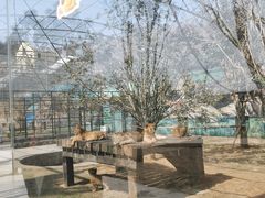 -南京金牛湖风景区