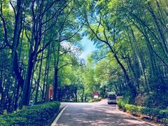 -石燕湖生态旅游景区