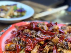 -柴窝堡22号辣子鸡·传承新疆菜