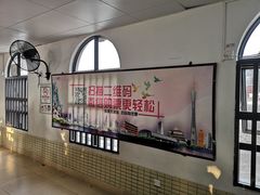 -长洲渡车船码头