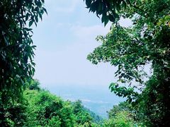 -火炉山森林公园
