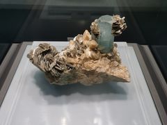 -青岛市博物馆
