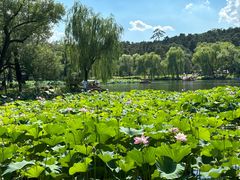 -承德避暑山庄景区
