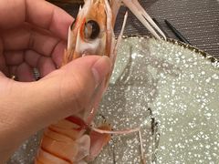 -江户家·日本料理·铁板烧(汉江东路店)