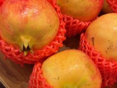 -金鼎轩(方庄店)