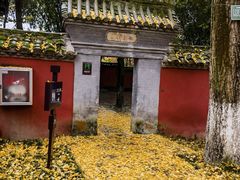-武侯墓风景区