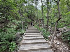 -大岭沟猕猴桃谷风景区
