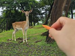 -秦皇岛野生动物园