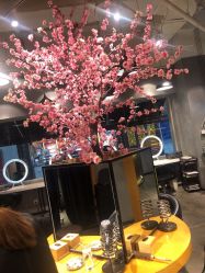 -时尚殿堂明星门店