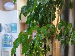 -麦悠悠·SPA·推拿(沈杜公路地铁站店)