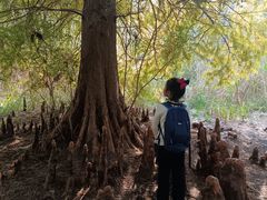 -溱湖国家湿地公园