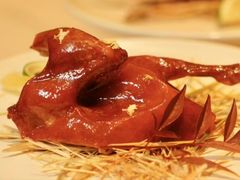 -觅唐MITONG(鸟巢店)