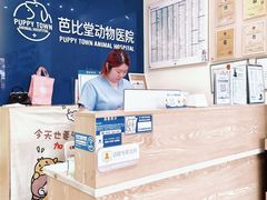 -芭比堂动物医院广州顽皮分院