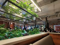 -猫爪爪原切自助烤肉(观音桥阳光世纪店)