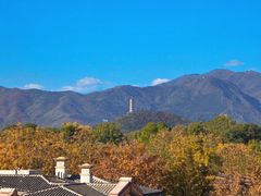 -龙湖星悦荟(颐和店)