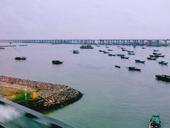 -宝安西湾红树林湿地公园