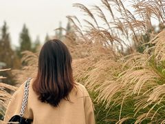 -眉山湿地公园(东坡区)