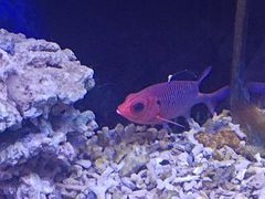-沙沙哗啦海洋馆(华宇百花谷店)