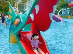 -苏州乐园森林水世界