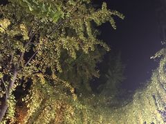 -米二红烧兔(华阳店)