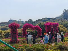 -东莞植物园