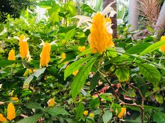 -北京植物园南门售票处