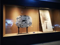 -中华赏石园