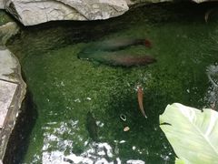 -青青世界