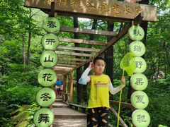 -大岭沟猕猴桃谷风景区
