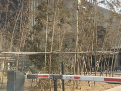 -青岛银沙滩温德姆至尊酒店