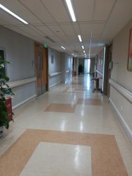 -杭州贝瑞斯美华妇儿医院·早孕·产检·儿科