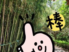 -石老人观光园