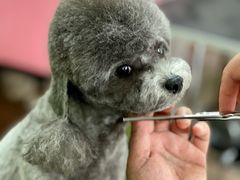 -My Way Town买味堂·东南亚餐厅(亦庄店)