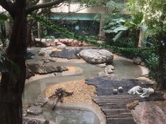 -麒麟中餐厅·经典粤菜·地道菜式老字号(广州长隆酒店)