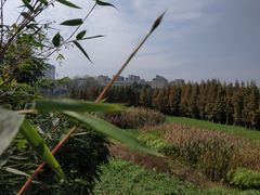 -贵阳市花溪国家城市湿地公园