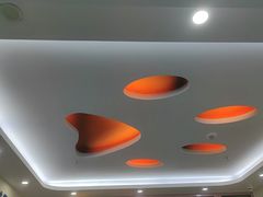 -全心全意连锁动物医院·微创中心·内科急重症·心脏专科(丰管路店)