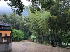-宝岩生态观光园