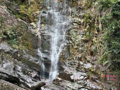 -鼎湖山风景区
