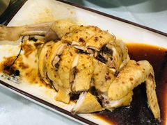 白切鸡-张鸟园农家乐(张鸟园店)