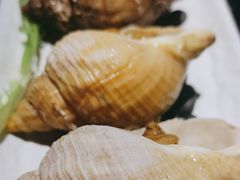 烤海螺-德川家日本料理(中关村寰太大厦店)