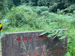 -芦沟竹海