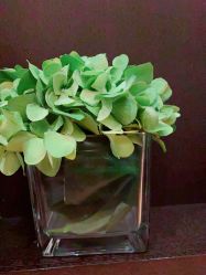 -Oasis Beauty水磨坊科技美肤中心