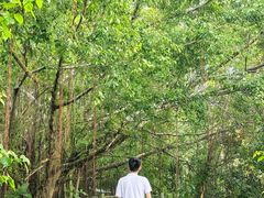 -兴隆槟榔园休闲农庄