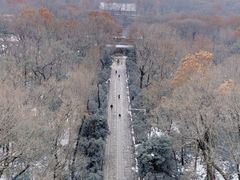 -灵谷景区