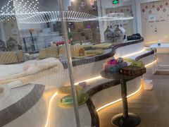 -COLOR PETS 撸猫馆·购猫·猫咖(长风大悦城店)