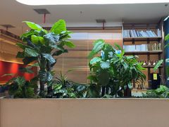 -悦海·家宴·冰花皮皮虾大锅贴(宝龙店)