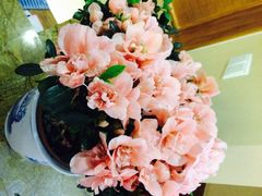 iphone_upload_pic-西津云缦酒店