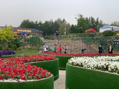 -莫子山公园