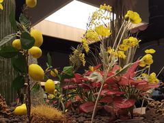 -Wood Garden(合生汇店)