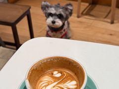-Cafe del Volcan(永康路店)